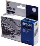 Original Epson Light Black Ink Cartridge C13T034740 T0347 – Free UK Delivery